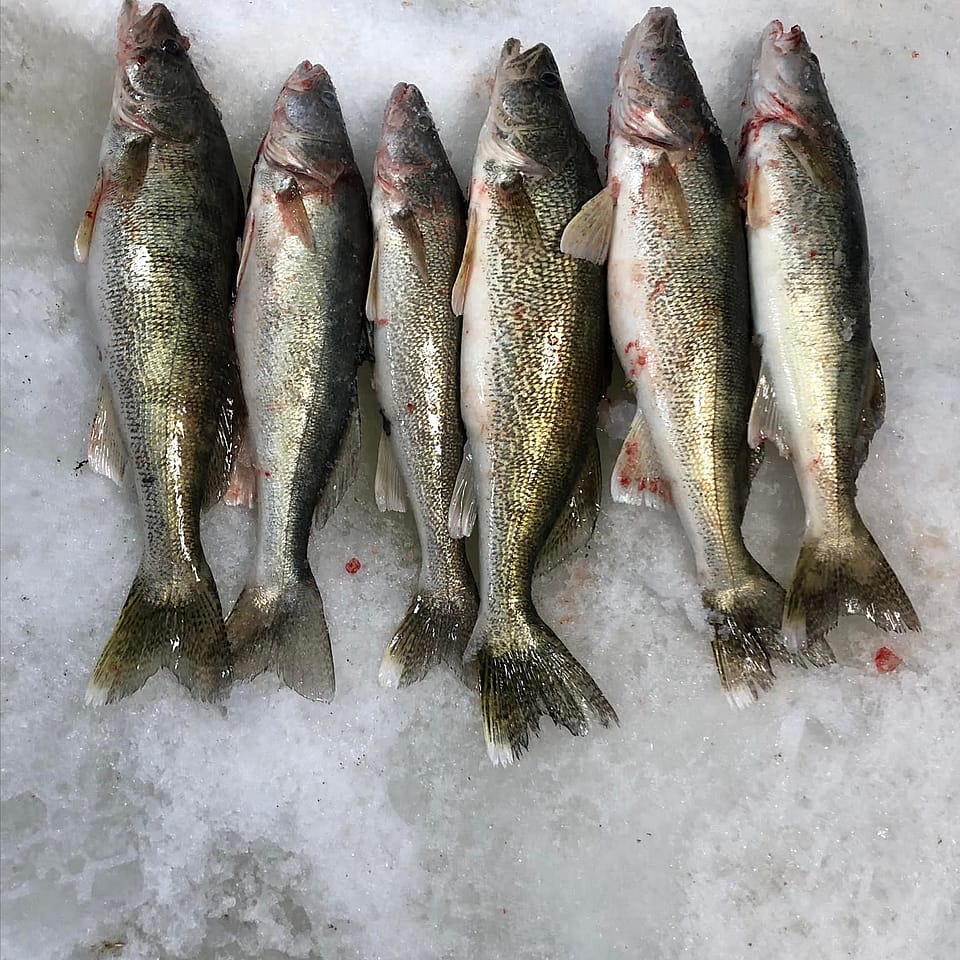 Full Day All Inclusive Ice Fishing on Lake Winnipeg
