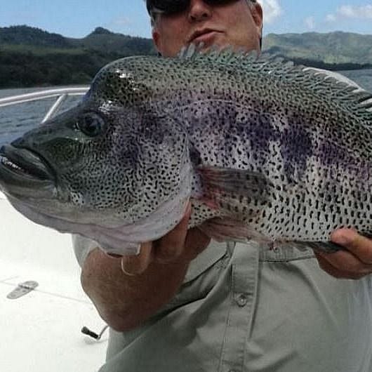 Freshwater Fishing Costa Rica