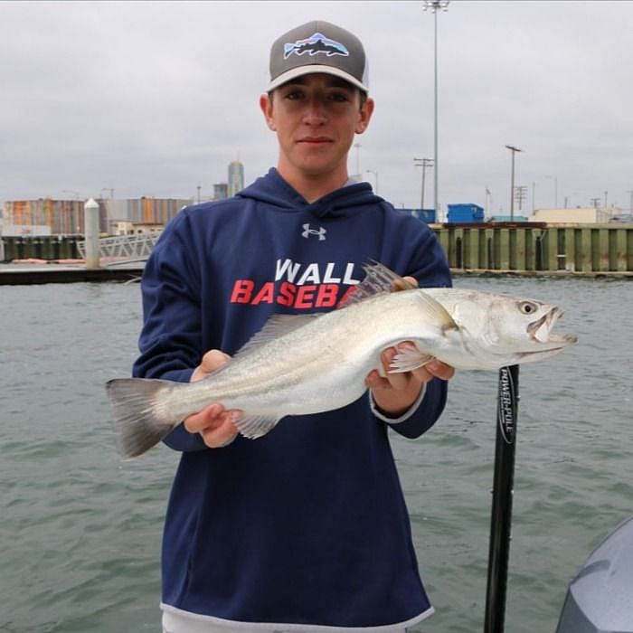HalfDay San Diego Bay Fishing Outguided