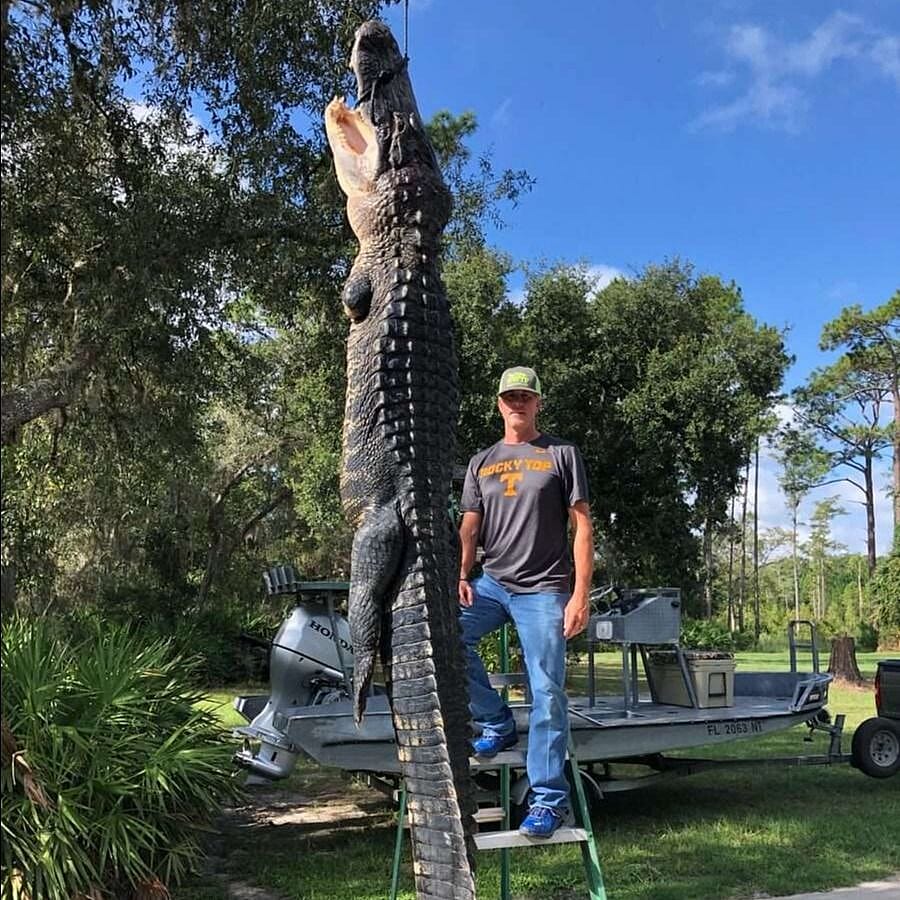 2-day-gator-hunt-outguided