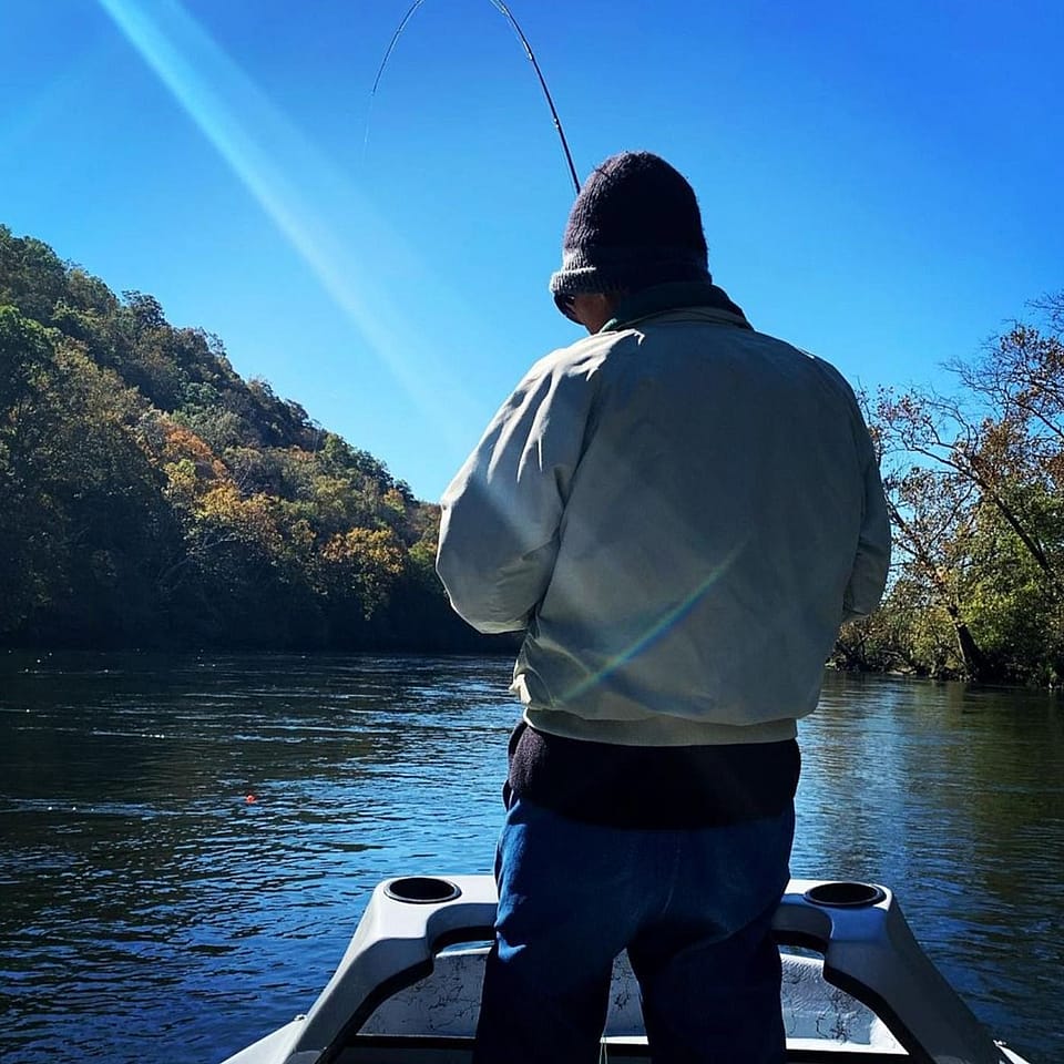 Full Day Fly Fishing for Trout along Peaceful Rivers in East Tennessee