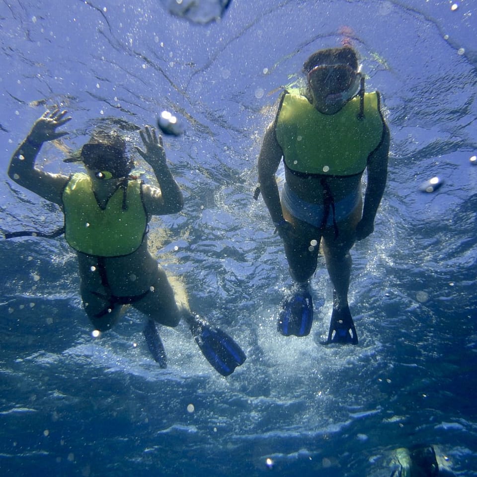 HalfDay Key Largo Snorkeling Tour Outguided