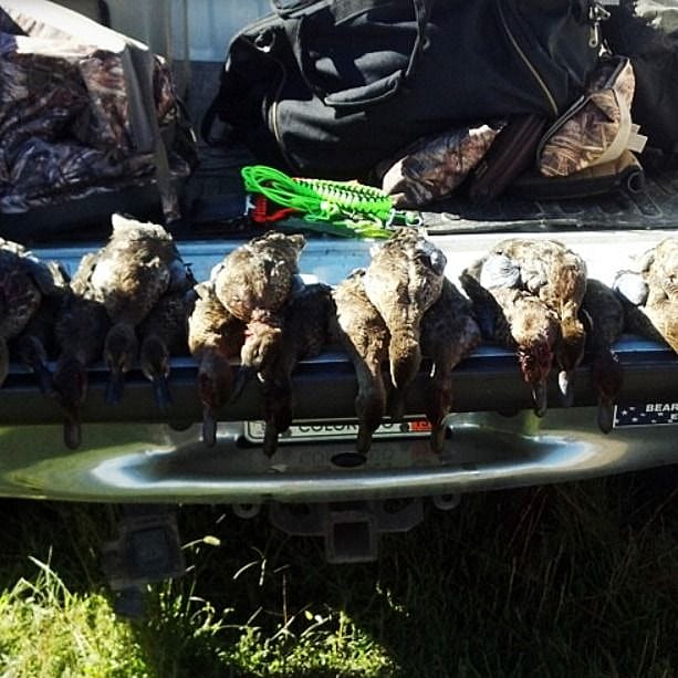 2Day Northern Colorado Duck Hunt Outguided