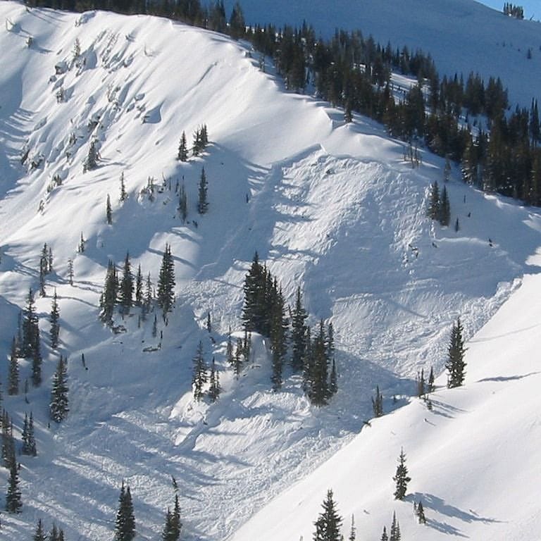 AIARE Level 1 Avalanche Course Outguided