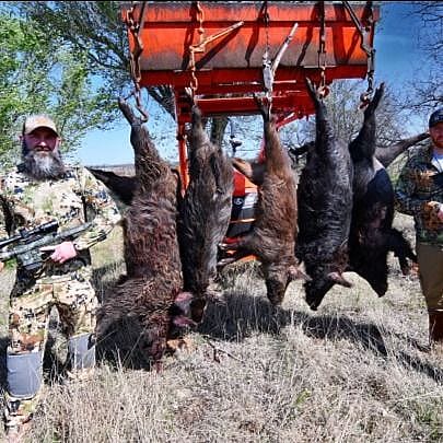 2-Day Oklahoma Hog Hunt 
