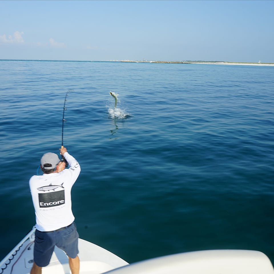 Shark Fishing Adventure in Destin FL