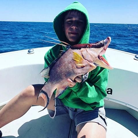 6-Hour Offshore Deep Sea Fishing in St. Petersburg, Tampa and