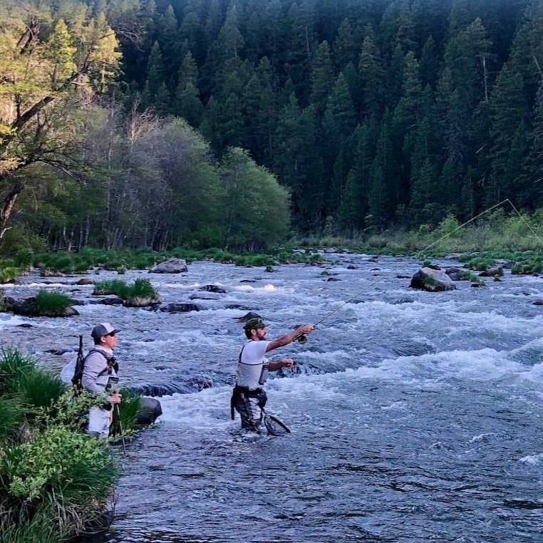 Full-Day Guided Fly-Fishing in the McCloud River
