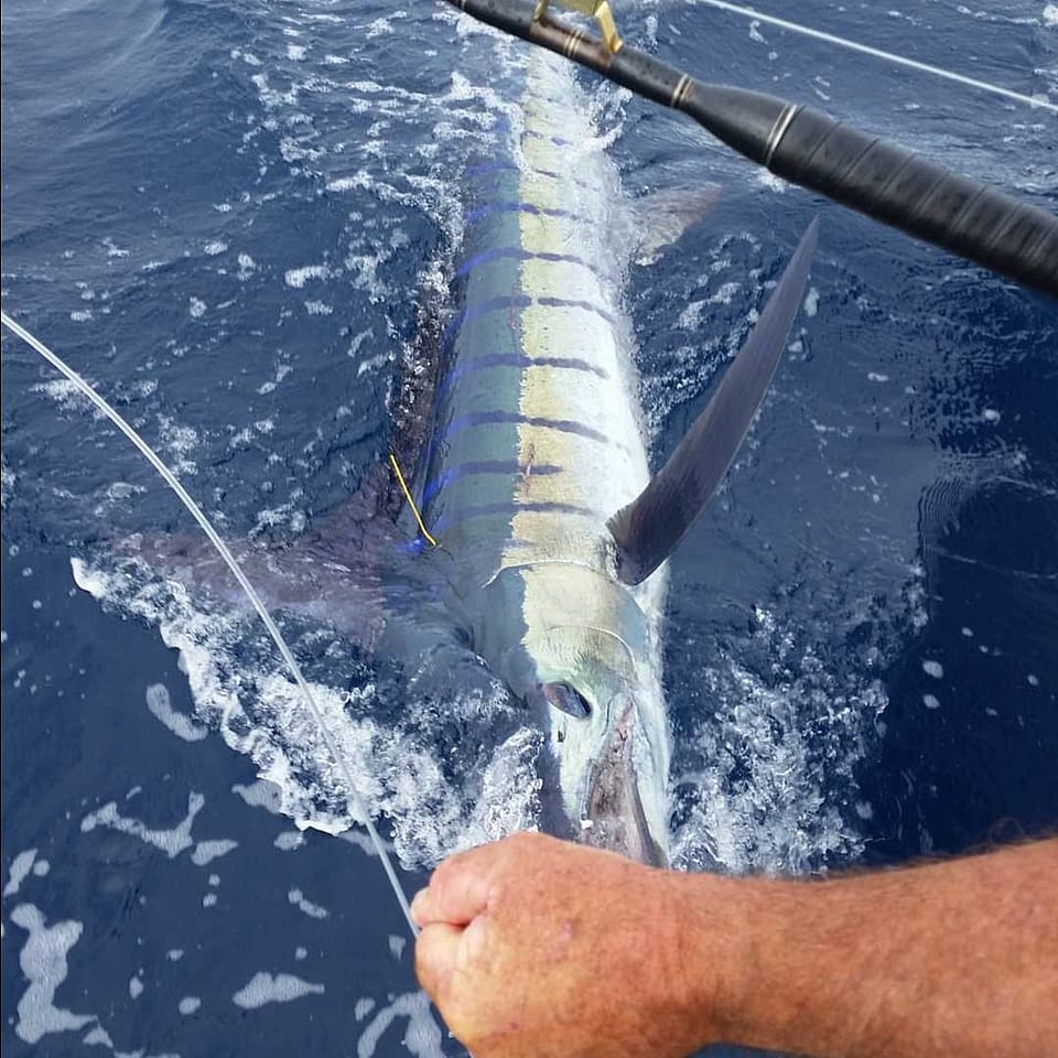 Private Game Fishing Charter Outguided