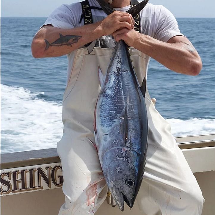 Offshore Deep Sea Tuna Fishing Trip Outguided