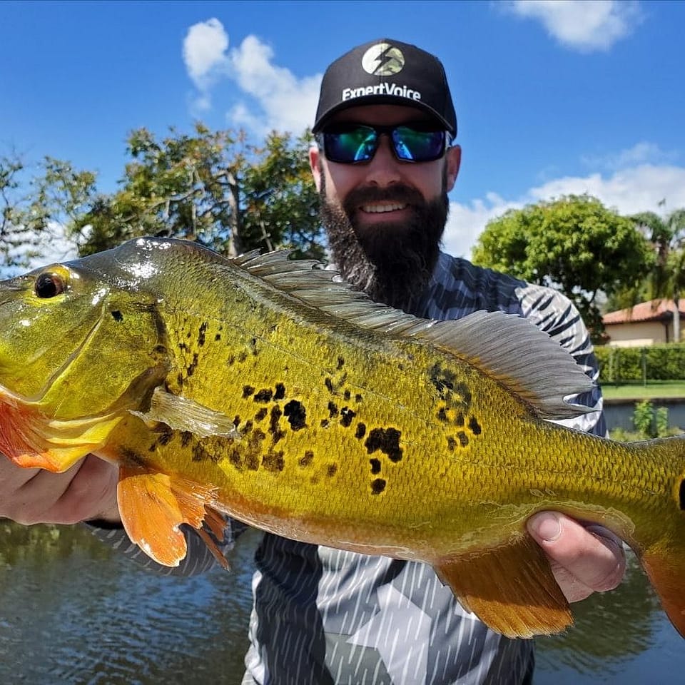 Fort Lauderdale Peacock Bass Fishing Charters - Lauderdale Fishing