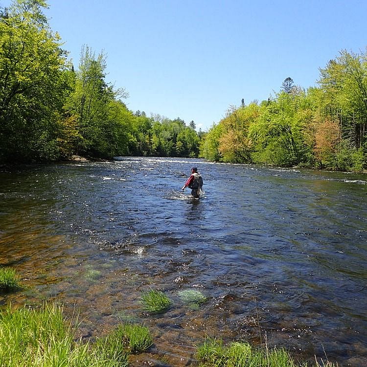 Full-Day Androscoggin River Fishing | Outguided