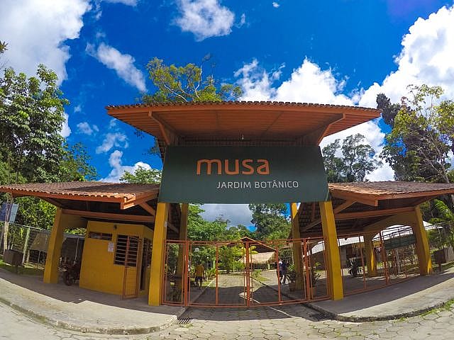 Museu da Amazonia (MUSA) in Manaus Including Observation Tower and Guided Tour