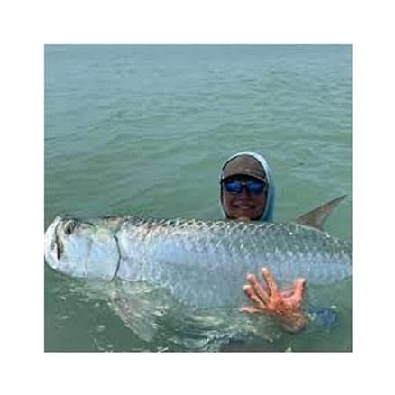 Tarpon Fishing In Fort Myers, Florida Guide
