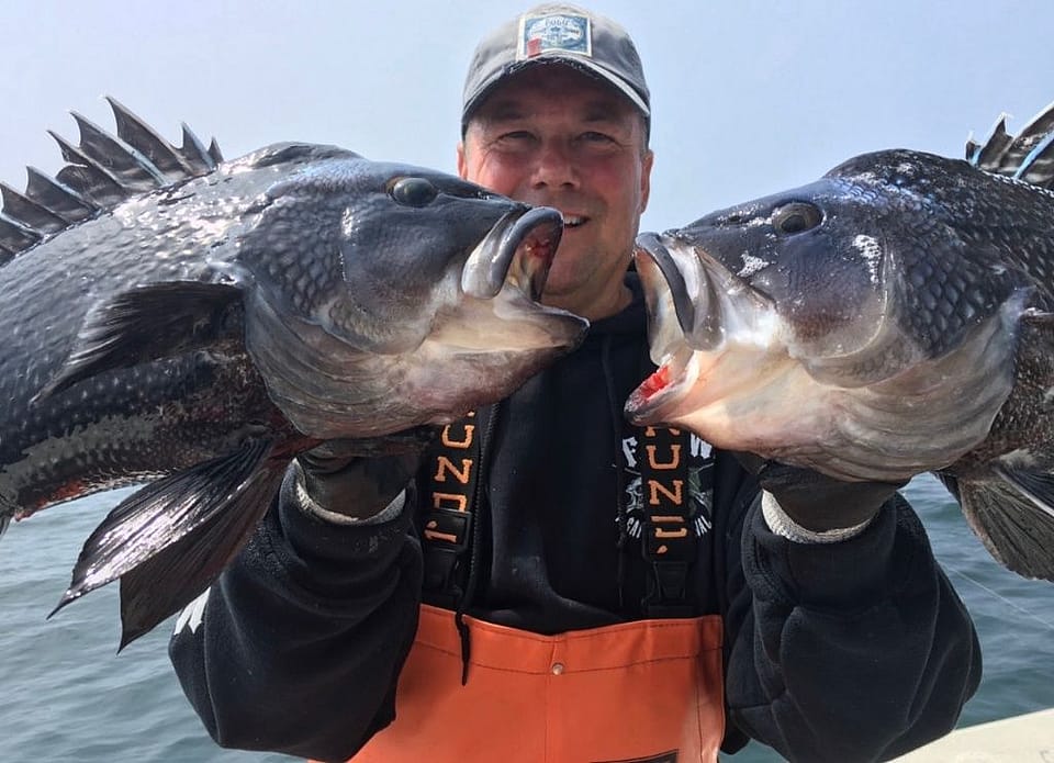 Six Hour Black Sea Bass, Tautog, and Scup Fishing Excursion in Cape Cod