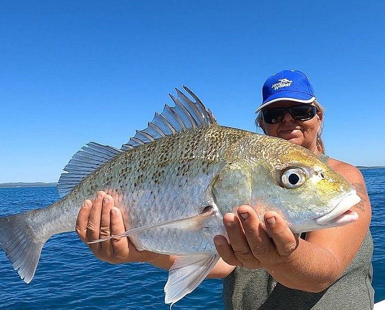 Full-Day Gladstone Saltwater Fly Fishing | Outguided