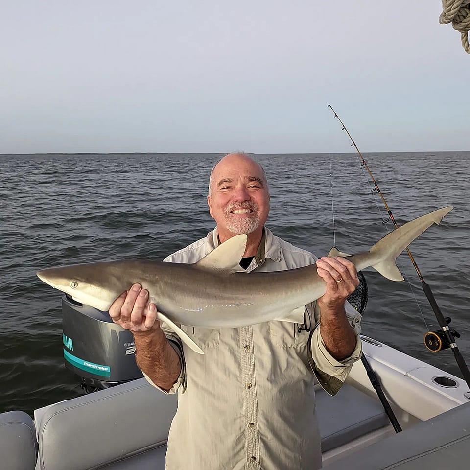 6 Hour Shark Fishing Charter in Florida