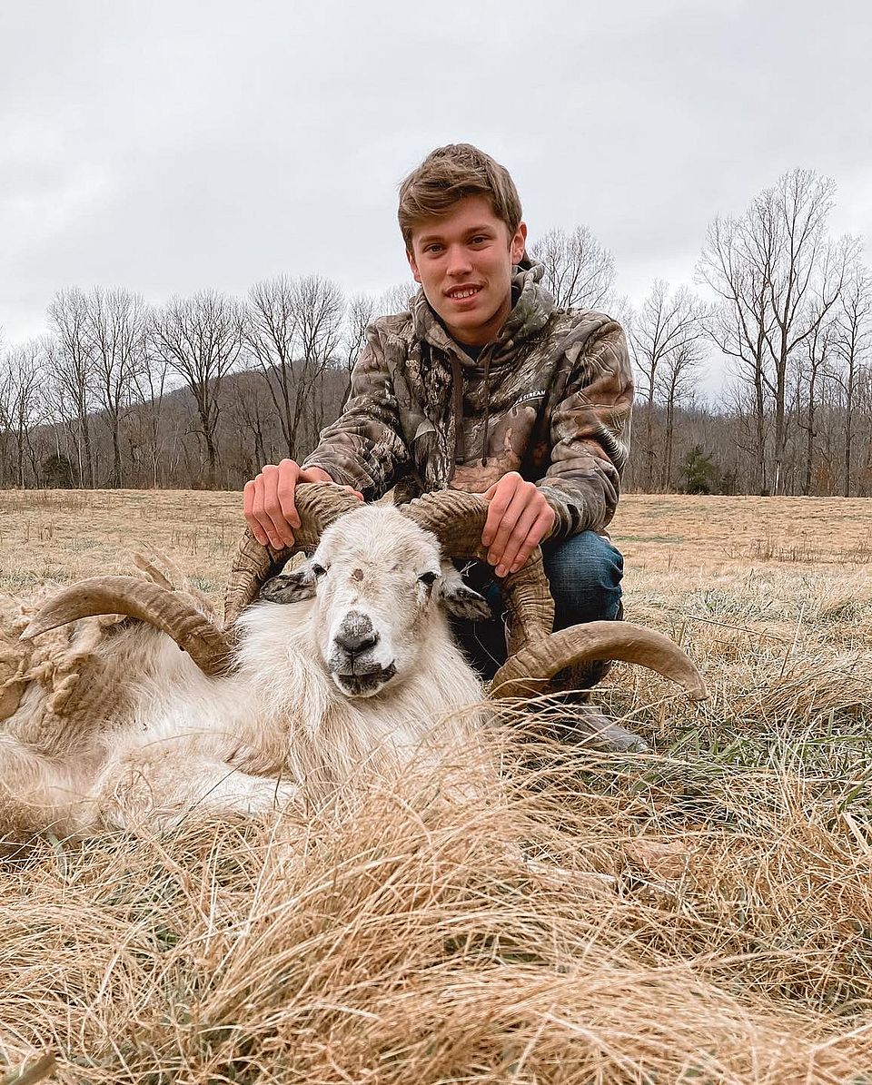 3 Day Texas Dall Ram Hunt in Tennessee Outguided