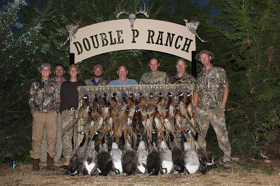 Premier South Dakota Pheasant Hunting Trip at Double P Ranch Outguided